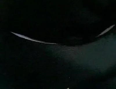 Masturbation Mature Man with Big Cock Part 1