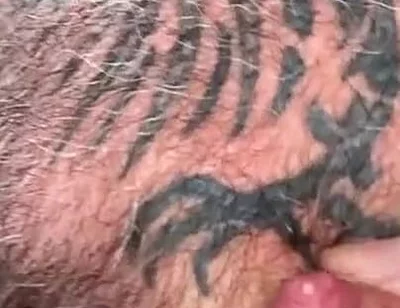 Tit Milk