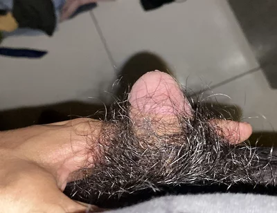 I Masturbate in the Afternoon