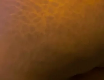 Big Black Ass