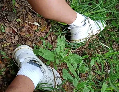 Compilation Pisses Urine by Master David