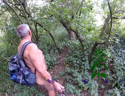 Part 2 Walk 42