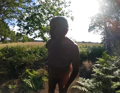 Walk 43 2025