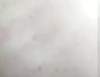 Watch Me Shake My Sexy Body and Ass