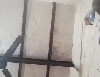 Big Indian Cock
